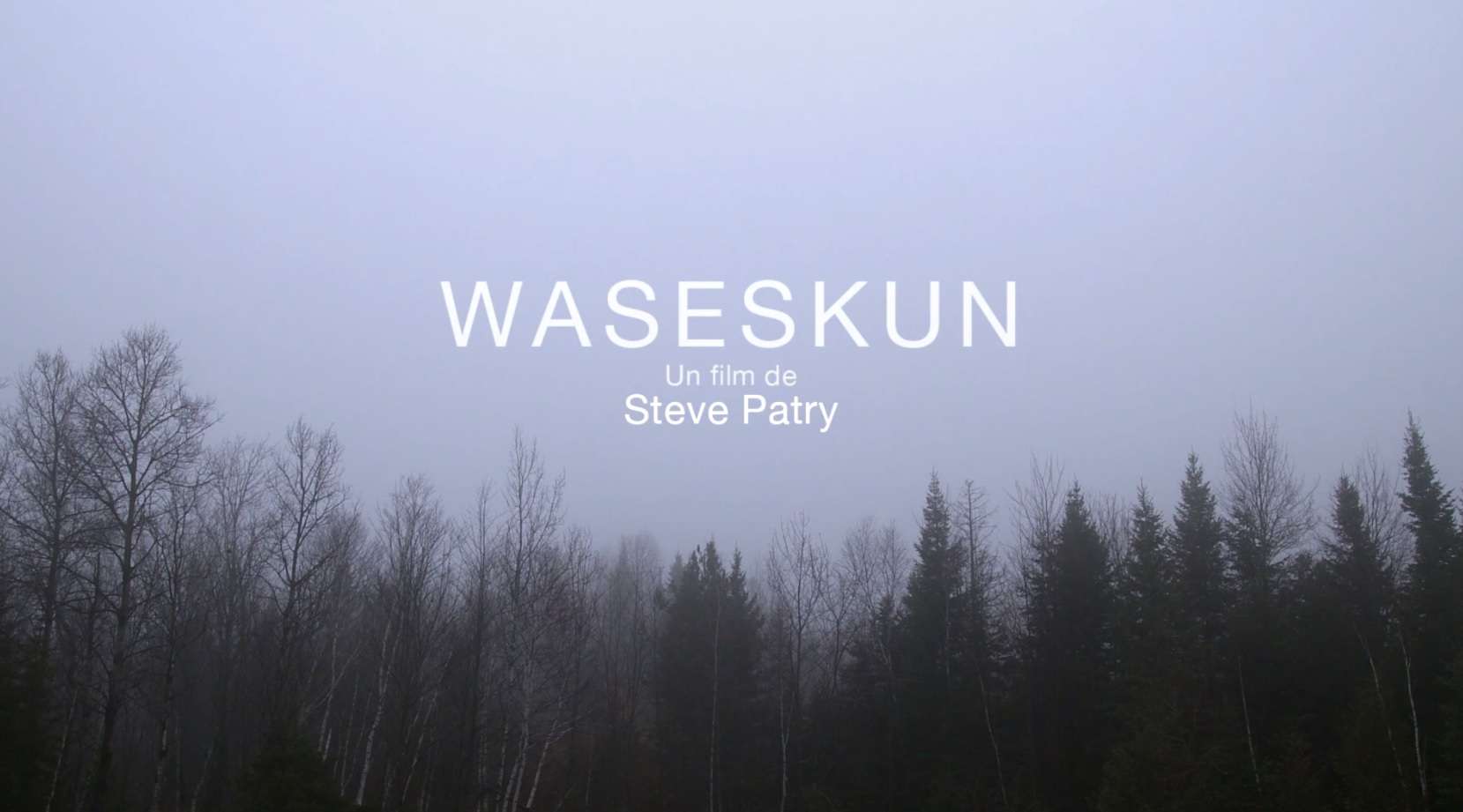 Wakeskun de Steve Patry au FCVQ