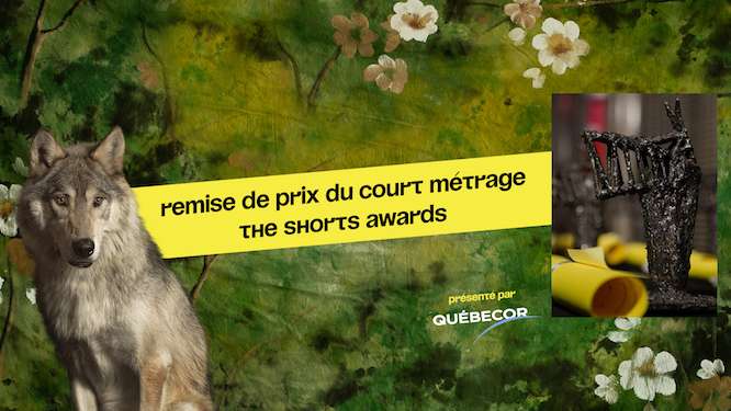 Palmarès des courts métrages 2018 du Festival du nouveau cinéma