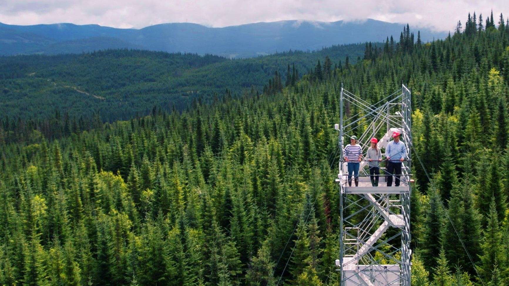 LA BATAILLE POUR LA FORÊT dès le 14 février 2023 sur Savoir média