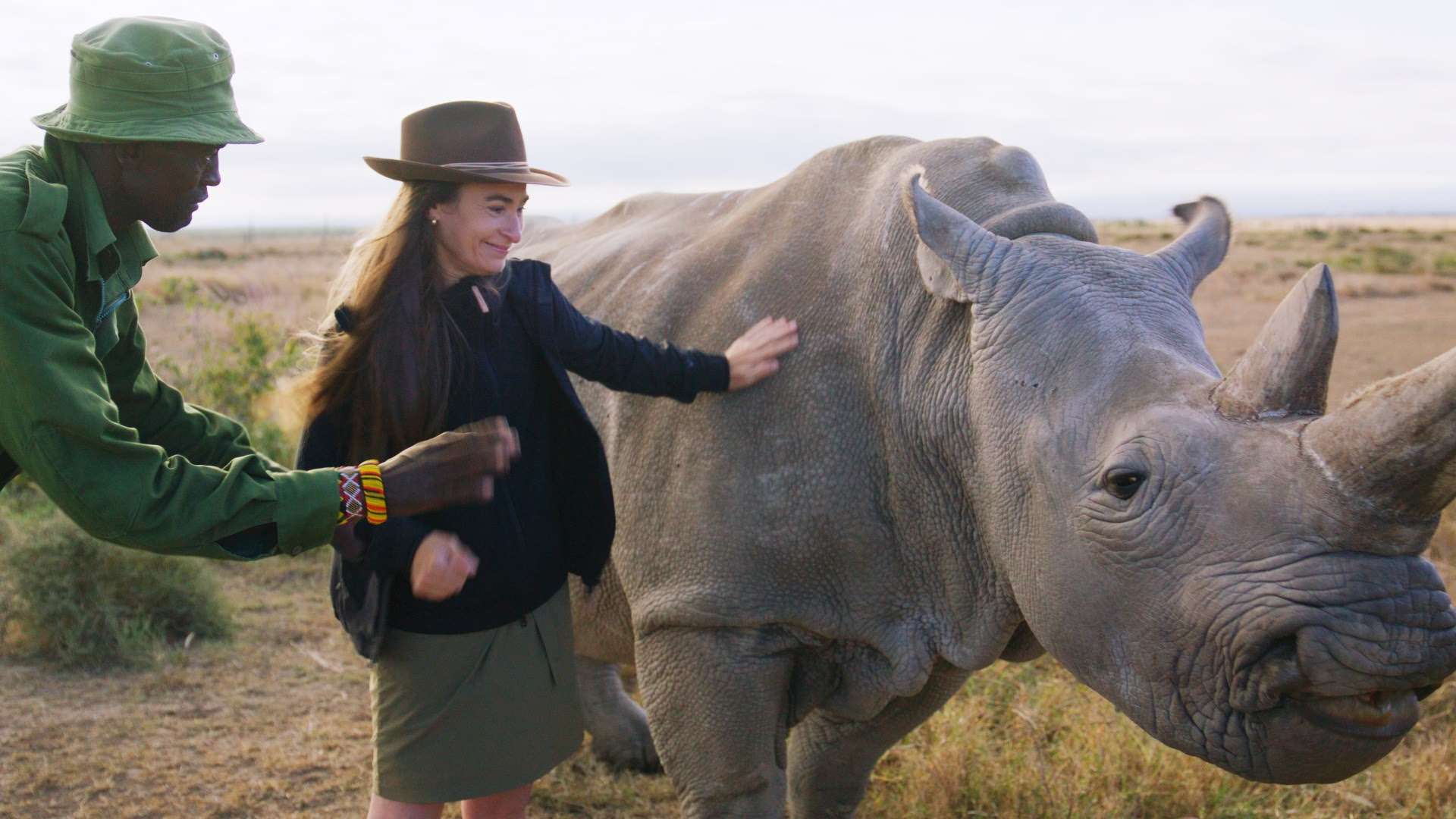 La vétérinaire Claudia Gilbert côtoie des animaux sauvages