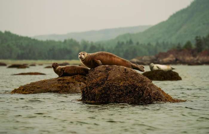 FLEUVE EN EAUX TROUBLES à découvrir dès le 27 février 2025 sur Savoir média