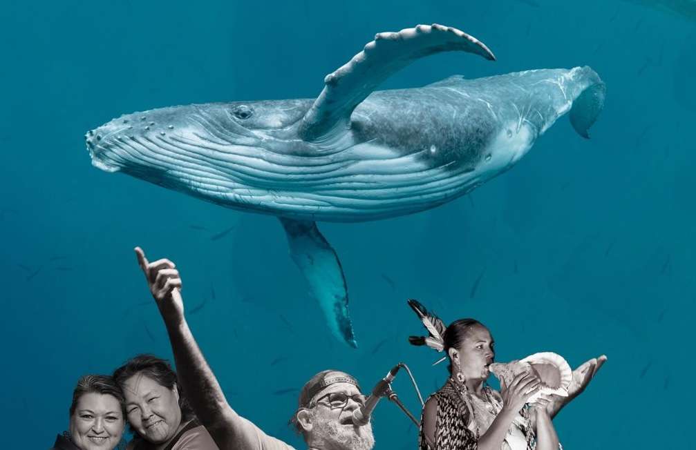 Le 35e Festival international Présence autochtone présentera le spectacle Song to the Whales les 6 et 7 août 2025