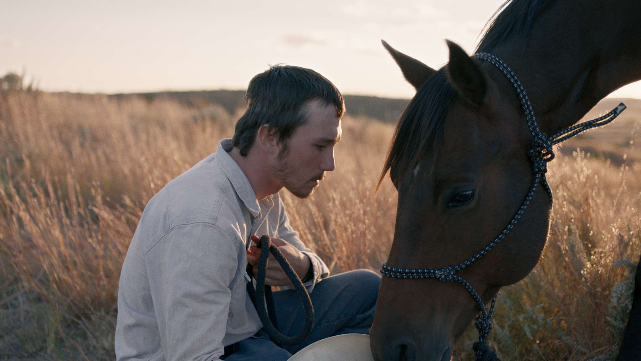 The Rider de Chloé Zhao grand Prix du jury du Festival Les Percéides