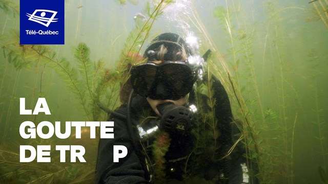 Télé-Québec – Que sommes-nous prêts à faire pour préserver notre eau?