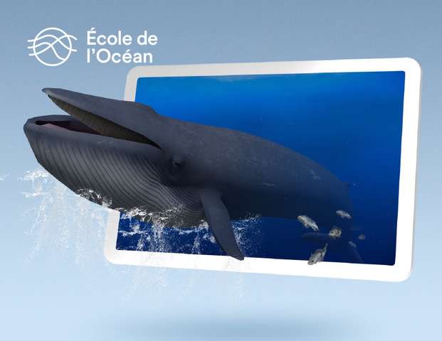 L’École de l’Océan, un voyage immersif au coeur des océans !