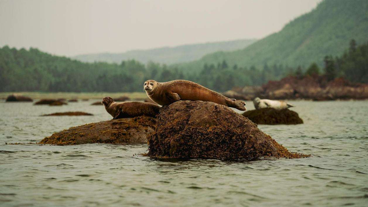 FLEUVE EN EAUX TROUBLES à découvrir dès le 27 février 2025 sur Savoir média