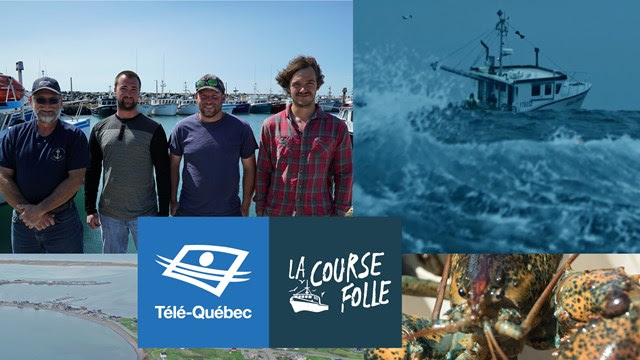 Télé-Québec : Quand la pêche au homard devient une véritable course folle dès le 6 février 2020