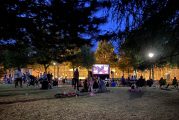 Ciné-Quartier fait son cinéma en plein air ! Des films pour petits et grands, de Verdun à Verchères