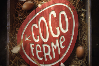 Dévoilement de la bande-annonce « Coco Ferme » et à l'affiche dès le 24 février 2023 prochain !