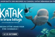 Katak, le brave béluga sur plus de 300 écrans en France